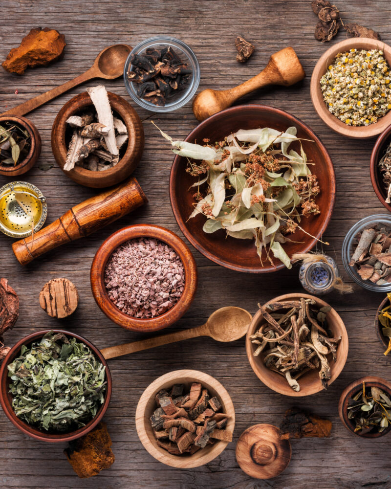 Set of healing herbs, plants and medicinal roots.Herbal medicine.Healing herbs on wooden board